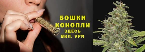 мдпв Горняк