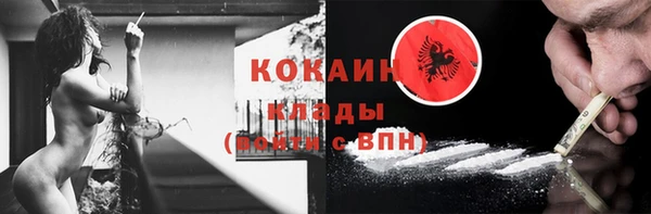 мдпв Горняк