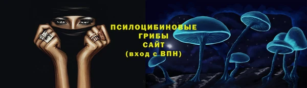 индика Дмитриев