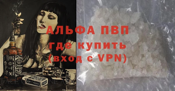 ГАЛЛЮЦИНОГЕННЫЕ ГРИБЫ Горно-Алтайск