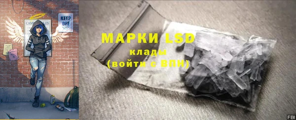ГАЛЛЮЦИНОГЕННЫЕ ГРИБЫ Горно-Алтайск