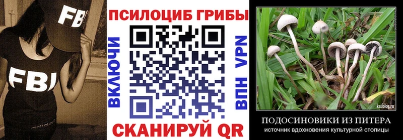 Галлюциногенные грибы MAGIC MUSHROOMS  Купить закладки  Костерёво 